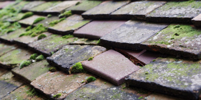 Little Ouse roof repair costs